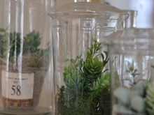 フェイクグリーンでなんちゃってテラリウム