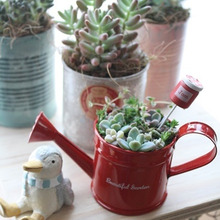 100均ガーデンピックでミニ寄せ植え