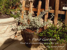 100均ブリキ、サビ加工でシャビーな鉢カバーに ♪