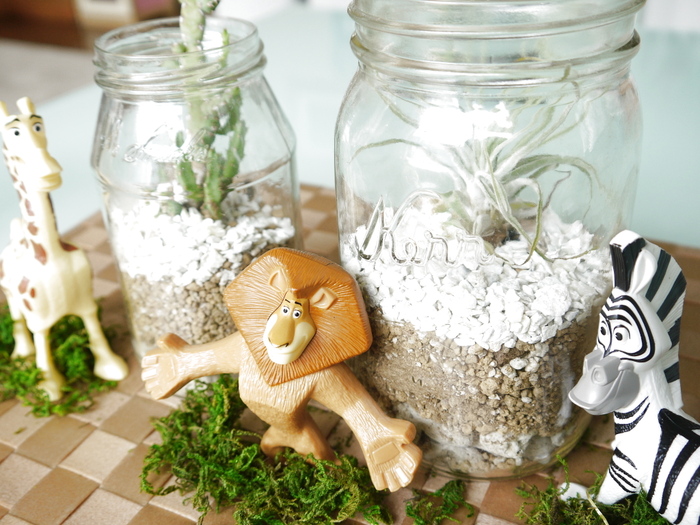 ☆グリーンとハッピーセットの仲間たちで簡単インテリア☆