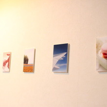 おうちの廊下をミニギャラリーに☆ ~おうちdeプチ写真展♪