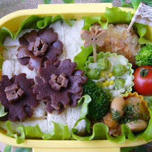 チョコの香り?!チョコレートコスモスのお弁当