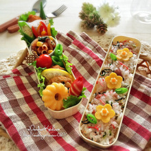 大人女子も必見!簡単&可愛い♡型抜きお花デコ弁