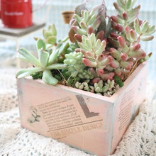 100均のアレで?お洒落なウッドプランターにリメイク