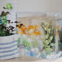 水槽をセリアグリーンで模様替え