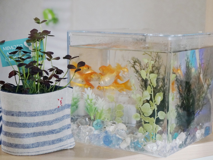 水槽をセリアグリーンで模様替え