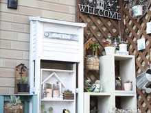 簡単DIYで外玄関を模様替え&お庭いろいろ