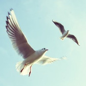 セルフヒーリングで心に余裕を