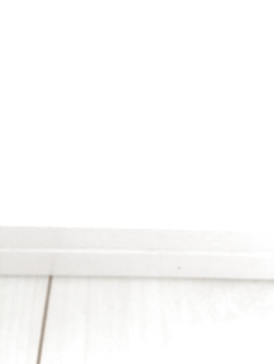 幅木にはすぐ埃がたまります