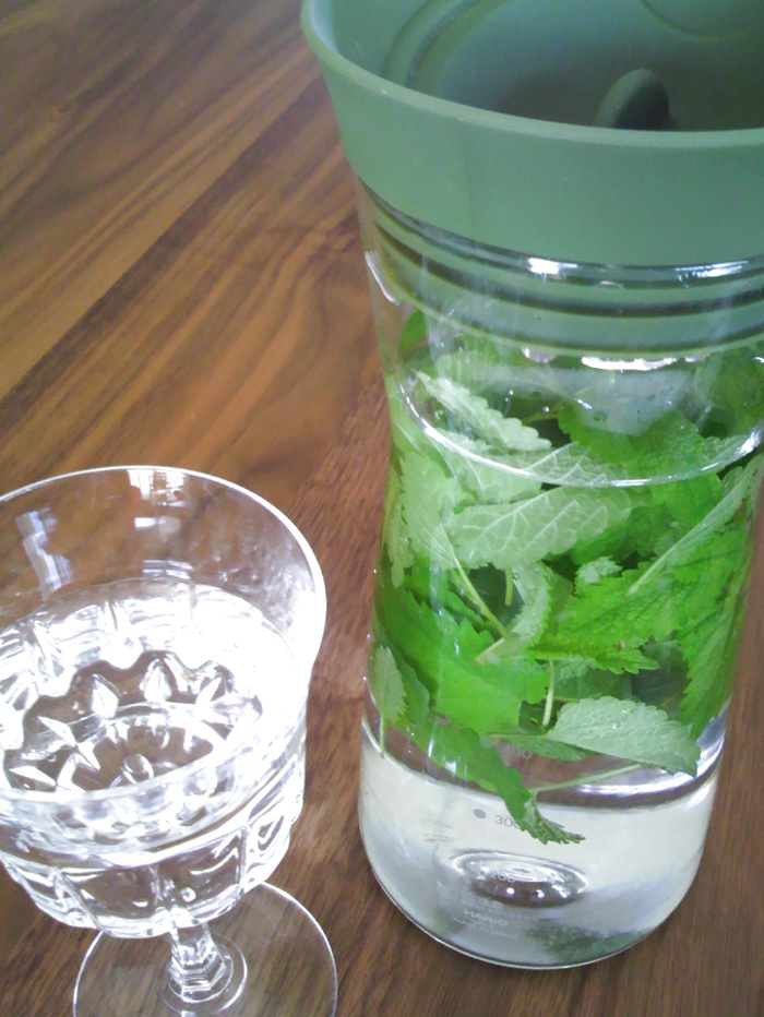 気分もすっきり☆簡単!レモンバームウォーター☆