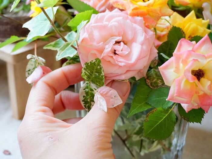 変化するお庭を楽しむ♪