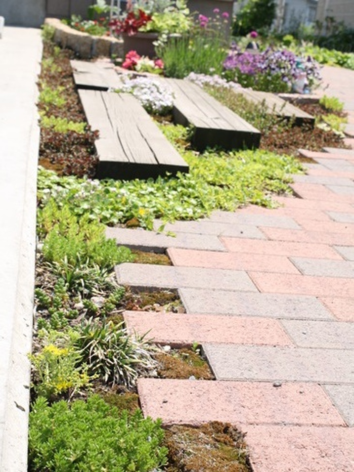 アプローチもモリモリ