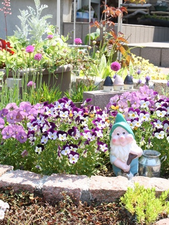 お花も楽しむ♪