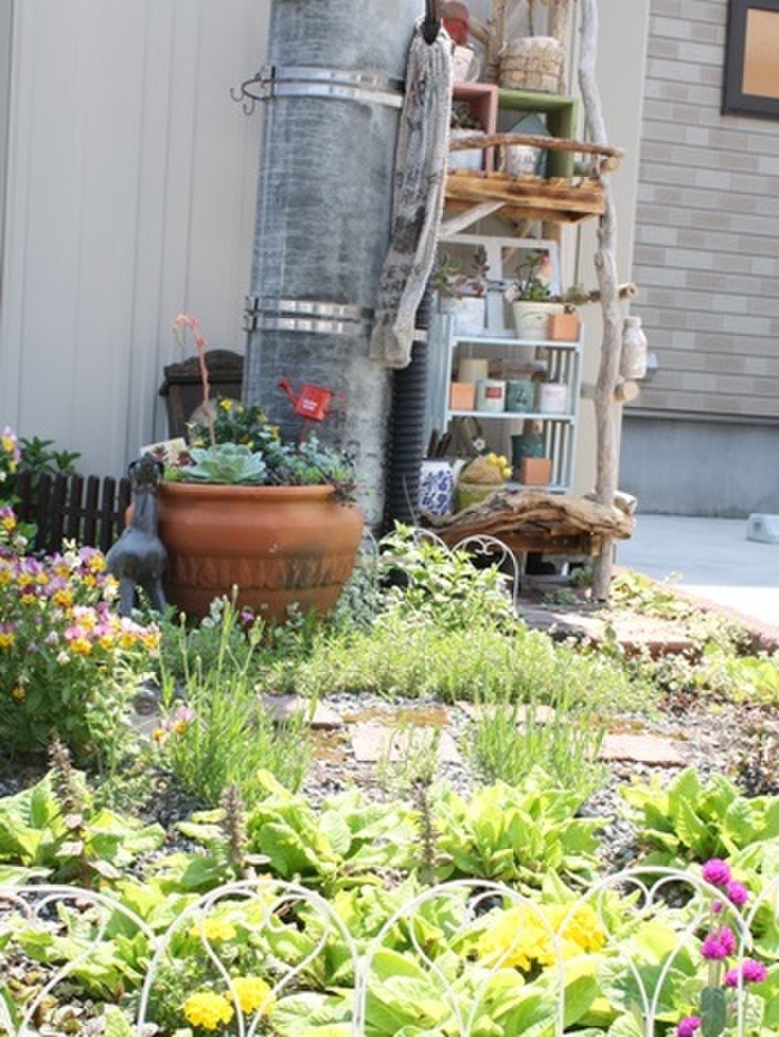 迷走コーナーその後