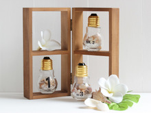 セリアの電球ビン de 夏ディスプレイ☆