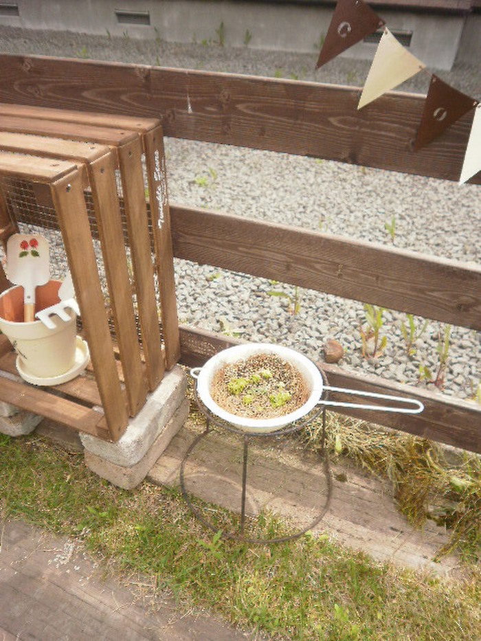 100均キッチン雑貨を塗るだけ簡単ガーデン雑貨に♪