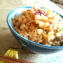簡単❗炊飯器ひとつで絶品ビビンバ風ごはん