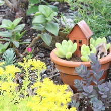 100均雑貨プラスでお気に入りのガーデンに♪