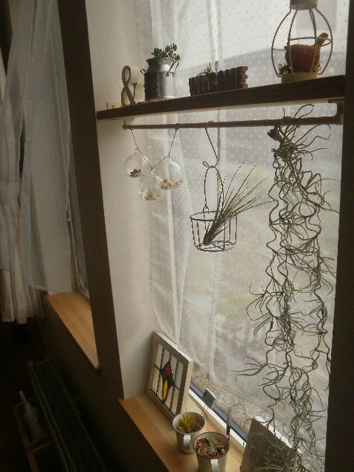 グリーンを中心にディスプレイ