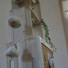 本物はどれ?にんにくインテリア