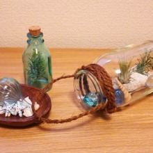 空き瓶と100均で玄関ちょこっと夏デコ☆テラリウム風