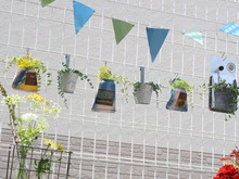 空き容器と100均で!お庭のフェンスを飾る