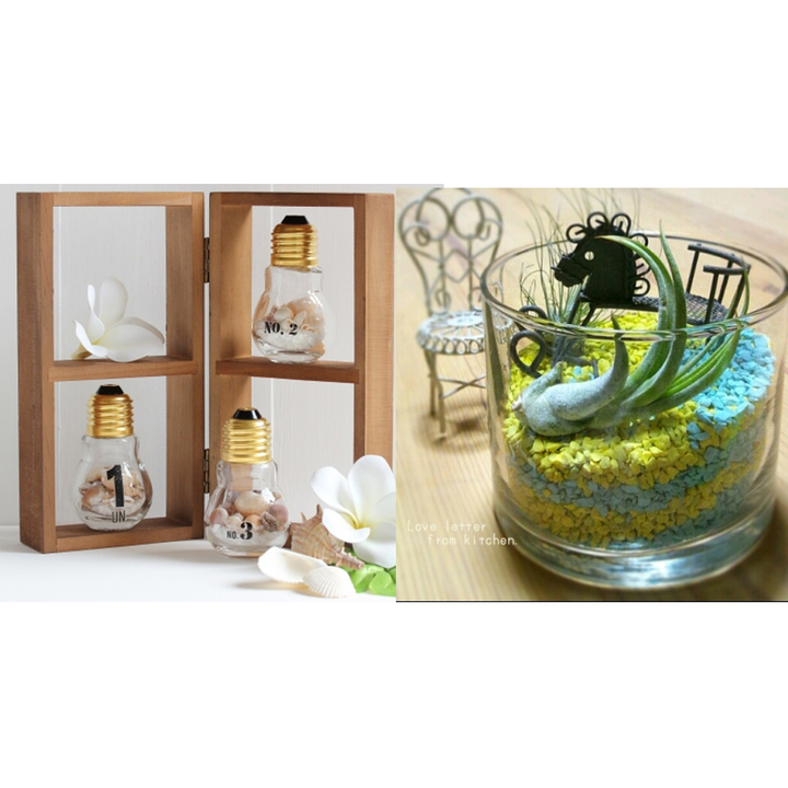 自分でできる!おしゃれな手作りテラリウム