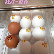 生卵の消費期限を見逃さないぞ!!