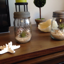 メイソンジャーでテラリウム