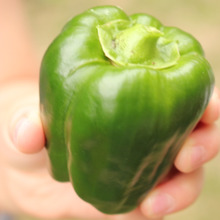 料理お手伝いで食べ物を大切にできる子に ~我が家の食育☆