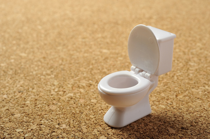 トイレの菌は、ホコリを栄養源にして増殖する！？知らないと怖いトイレ事情