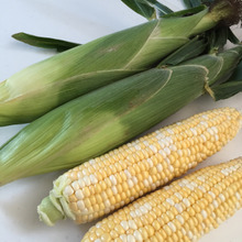 【ルクエ】とうもろこしはレンジでチン♫