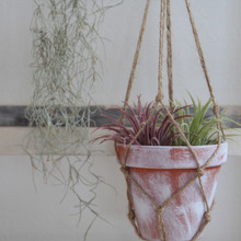 麻ひもで簡単プランツハンギング♪