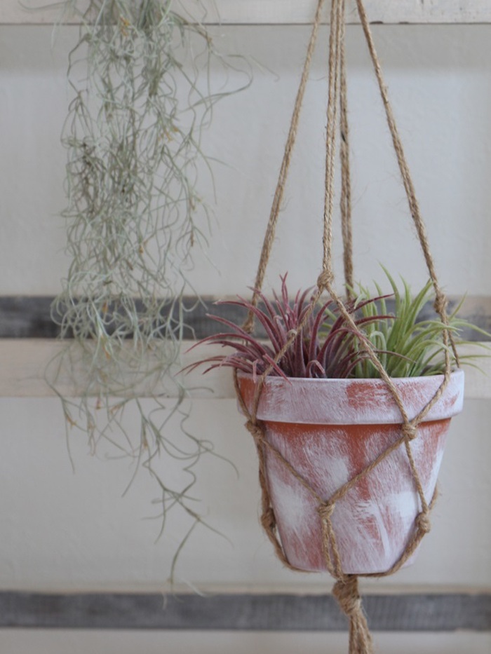 麻ひもで簡単プランツハンギング♪