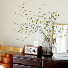 夏休み 見た目と使い勝手 変わる優先順位