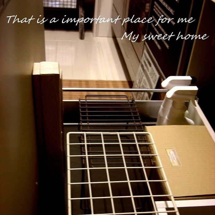 100均アイテムをプラス ♪