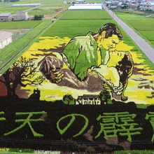 必見!感動の田んぼアート!青森県田舎館村