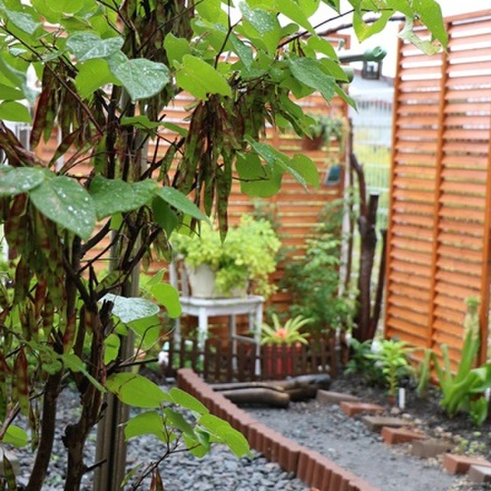 裏庭改造計画*途中経過