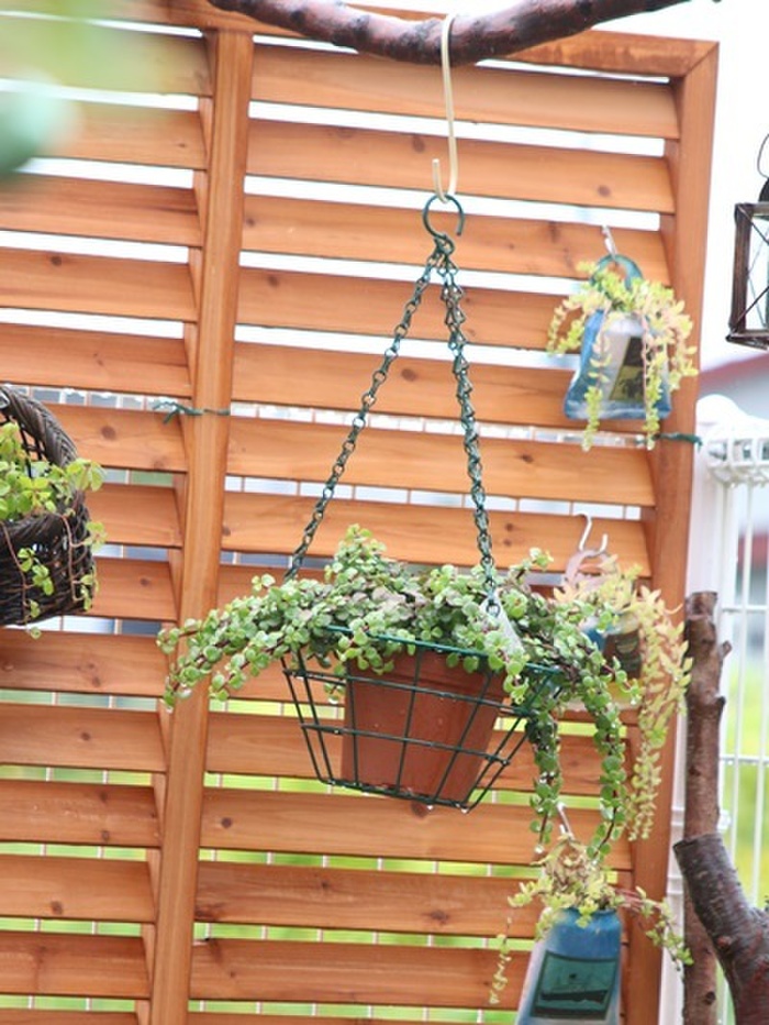 木を渡して吊り下げゾーン