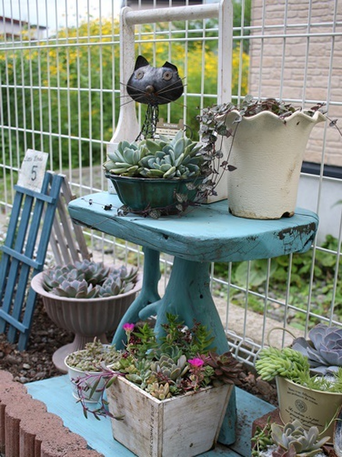 before お隣さんや雑草だらけの空き地が丸見え