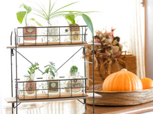 ミニマリスト ダイソーで出窓にステキ空間を