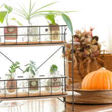 ミニマリスト ダイソーで出窓にステキ空間を