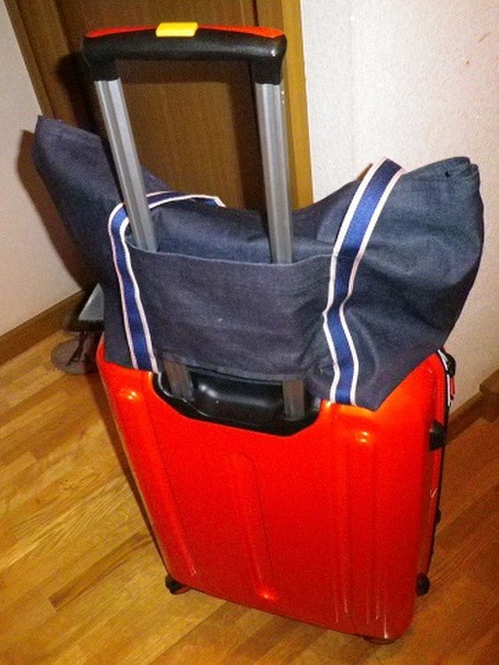 全部百均です!機内持ち込みできる旅行鞄作りました。