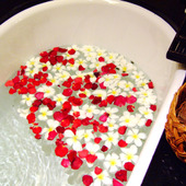 ゆるーく無理なく美bodyに!“プレミール習慣”とは?【生活習慣編】