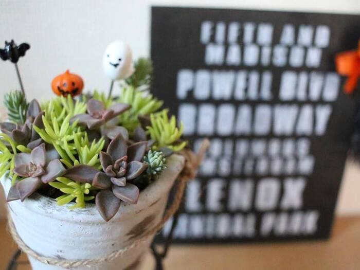 プラス100均アイテムで!ハロウィンディスプレイ