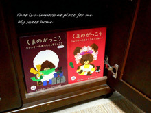 100均で簡単!絵本のスッキリ収納 ♪