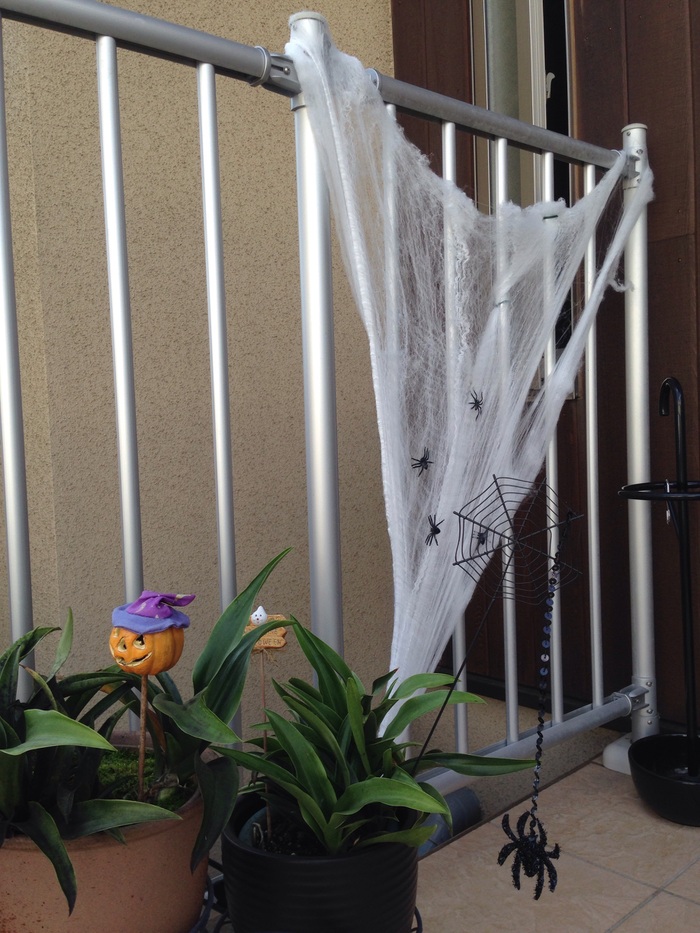 蜘蛛の巣も100均