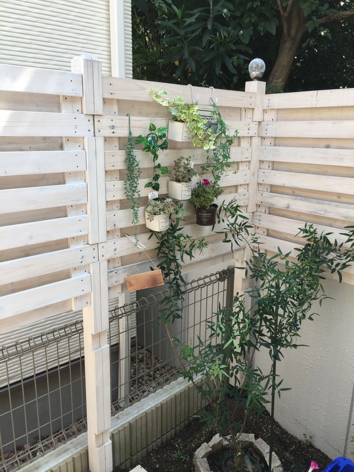 コーナーに飾っています