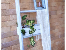 特集 ステキなアイデアを暮らしニスタ編集部でまとめさせて頂きました。