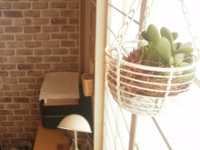 特集 ステキなアイデアを暮らしニスタ編集部でまとめさせて頂きました。